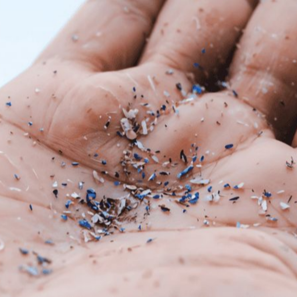 Microplastic pollution